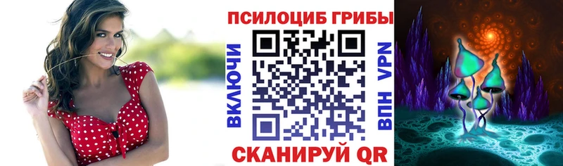 Купить где  Нерехта  Галлюциногенные грибы MAGIC MUSHROOMS 