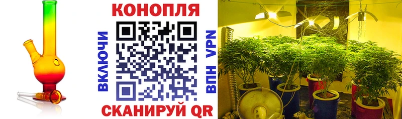 Купить  Нерехта  Шишки марихуана SATIVA & INDICA 
